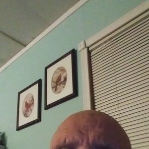 Meet your Posher, Greg